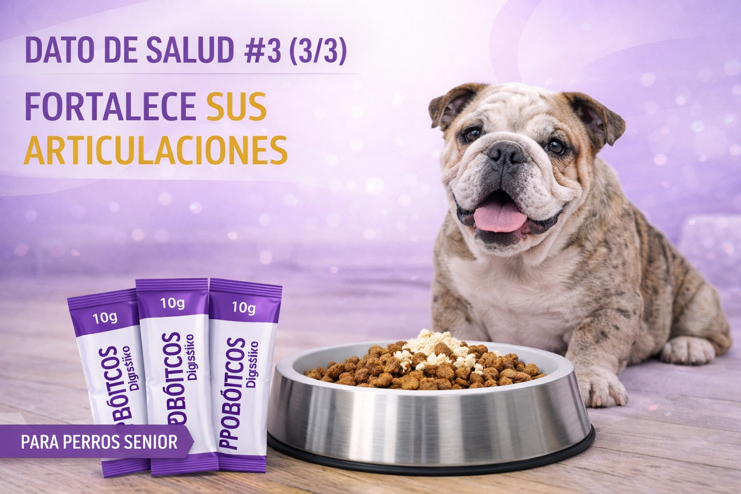 ¿Tu perro o gato tiene problemas digestivos? 🐶🐱” 👉 “Probioticos Sana ™