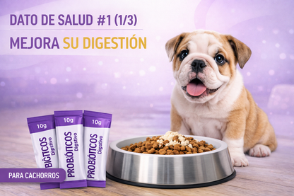 ¿Tu perro o gato tiene problemas digestivos? 🐶🐱” 👉 “Probioticos Sana ™