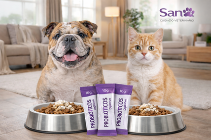 ¿Tu perro o gato tiene problemas digestivos? 🐶🐱” 👉 “Probioticos Sana ™