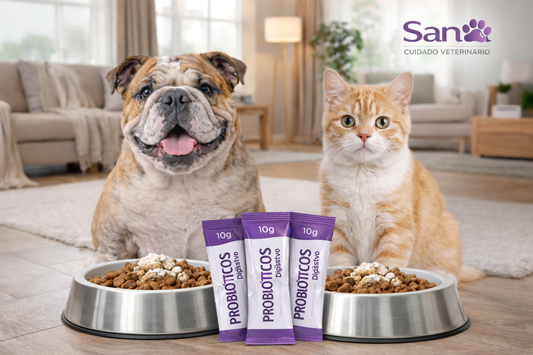 ¿Tu perro o gato tiene problemas digestivos? 🐶🐱” 👉 “Probioticos Sana ™